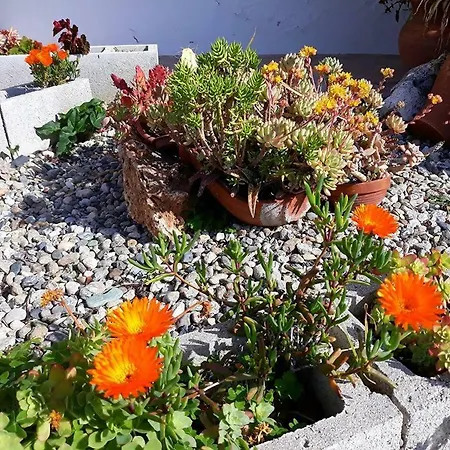 La Dimora Degli Artisti Bed and Breakfast 4*