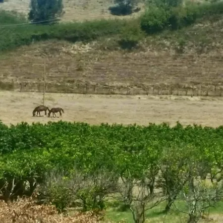 La Dimora Degli Artisti Bed & Breakfast 4*