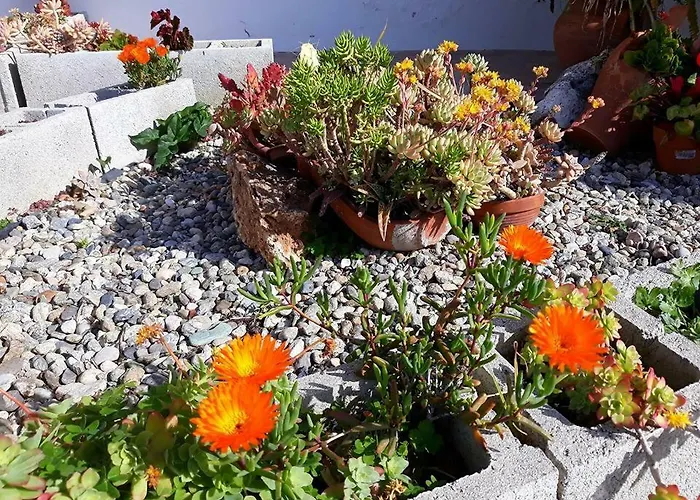 La Dimora Degli Artisti Panzió 4*