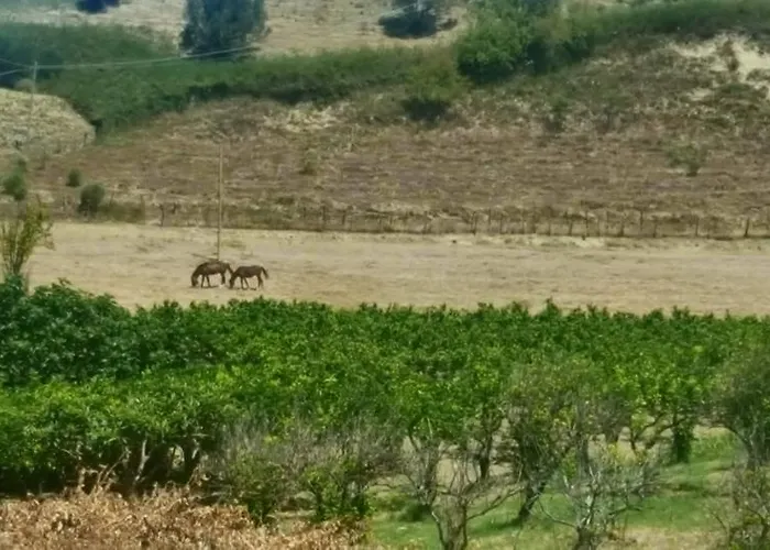 La Dimora Degli Artisti Panzió 4*